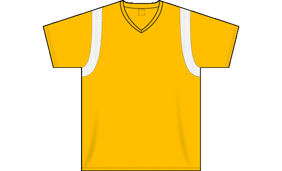 Warmup Series Gold and White Basketball Jerseys